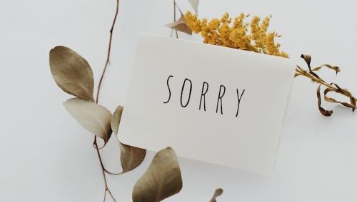 Hoe zeg je “excuses” in het Engels?