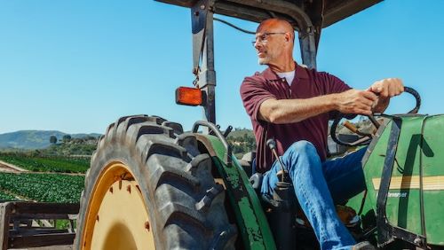 Hoe zeg je "wat de boer niet kent dat eet hij niet" in het Engels?